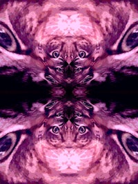 a purple and black image of a cat's eyes